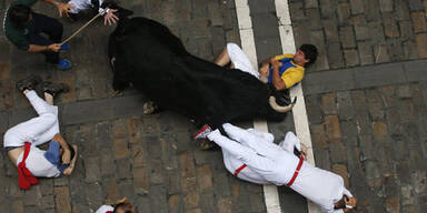 Stier rammte Touristen Hörner in Unterleib