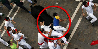 Stier rammte Touristen Hörner in Unterleib