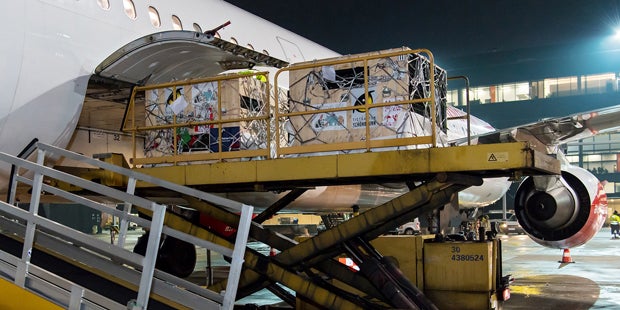 Panda-Zwillinge verlassen Österreich