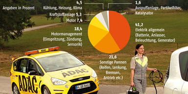 Pannenstatistik: Mängelzwerge und -riesen