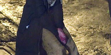 Heath Ledgers letzter Auftritt