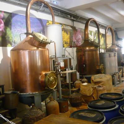 Gay-Kreuzfahrt: Mit der „Eurodam“ durch die Karibik