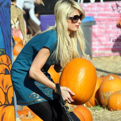 Kürbis-Mania in Hollywood