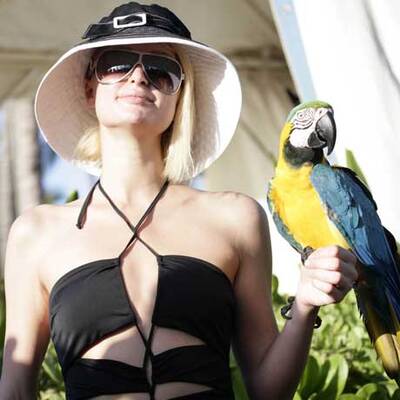 Star-Parade an den schönsten Stränden der Welt