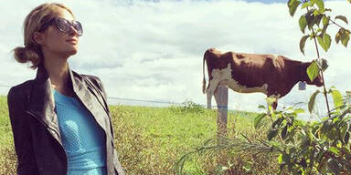 Hilton: Neues Land-Leben mit Austro-Liebe