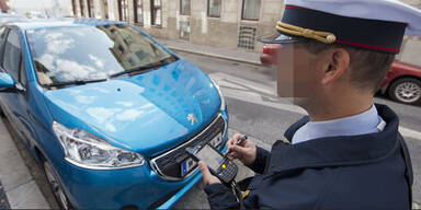 Mann prügelt Parksheriff ins Spital