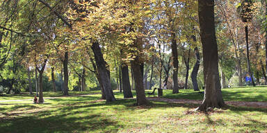 Kind entf&uuml;hrt: Rettung in letzter Minute
