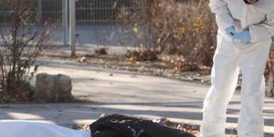 Serbe sprengte sich mit Handgranate in die Luft