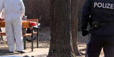 Serbe sprengte sich mit Handgranate in die Luft