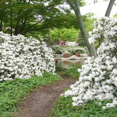 Tempelhofer Park, Berlin 