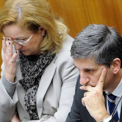 FPÖ, Grüne und BZÖ sind vom 26-Milliarden-Euro-Paket alles andere als begeistert