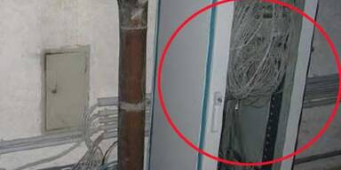 Parlament muss sofort saniert werden