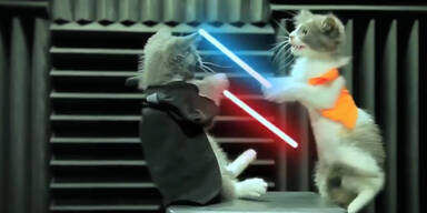 K&auml;tzchen als "Star Wars" &ndash; Helden