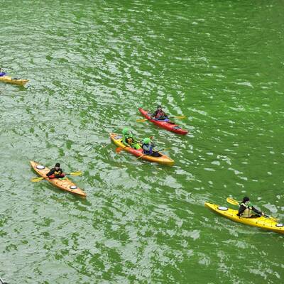 Die Welt feiert St. Patrick's Day