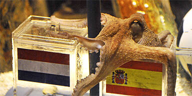 "Heimatstadt" widmet Paul eigene Stra&szlig;e