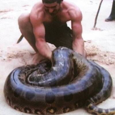 Das ist Schlangen-Mann Paul Rosolie