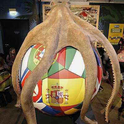 Goldene Urne für Krake Paul