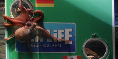 Kraken-Orakel sagt deutschen Sieg voraus