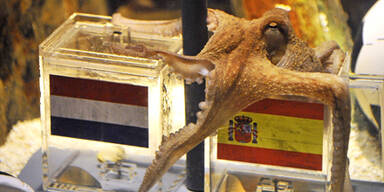 Toter Paul bekommt einen Nachfolger