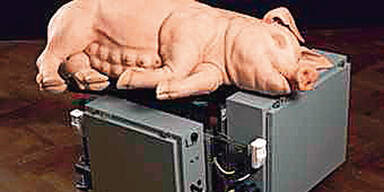 44 Essl-Kunstwerke unterm Hammer