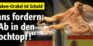 Fans geben Paul Schuld am WM-Out