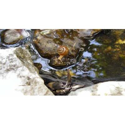 Alle lustigen Urlaubsfotos