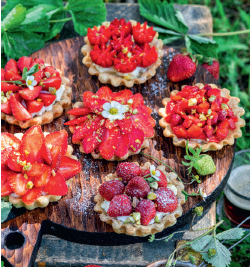 Picknick-Ideen: Unsere Lieblingsrezepte für draußen