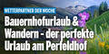 Bauernhofurlaub & Wandern - der perfekte Urlaub am Perfeldhof