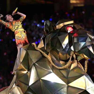 Bilder zur Super Bowl 2015