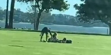 perth2.jpg