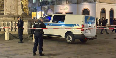 Kleinlaster rammte Pestsäule.