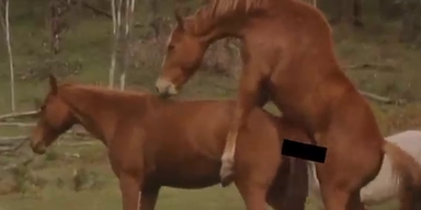 "Peta"-Spot: Veganer haben mehr Sex