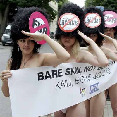 Demo in Riga gegen Tierquälerei