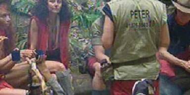 Tränen bei Mausi nach Horrornacht