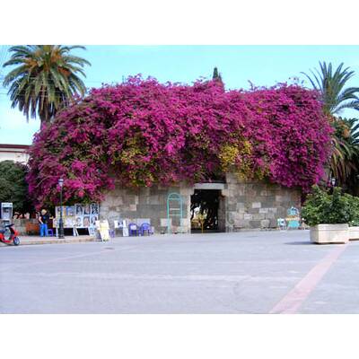 Die neuesten Urlaubsfotos