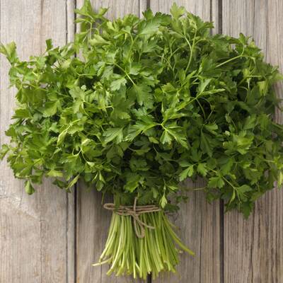 Beifuß regt die Durchblutung an