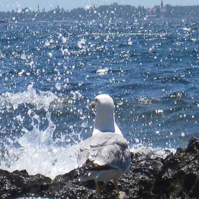 Die schönsten Urlaubsfotos