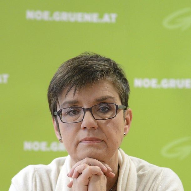 Anschober holt Ex-Grünen-Chefin ins Ministerium