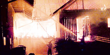 petzenkoenig2_c_ff-bleiburg