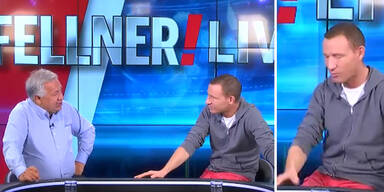 Fellner Petzner Dancing Stars