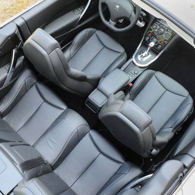 Facegelifteter Löwe