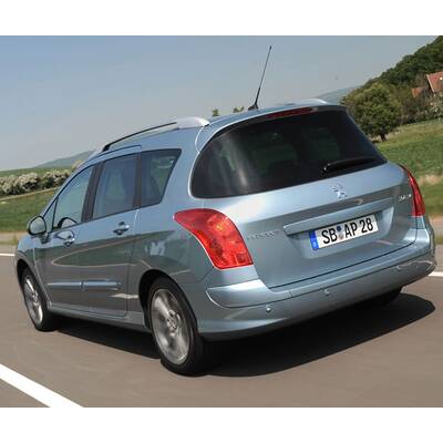 Facegelifteter Löwe