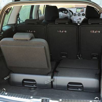 Facegelifteter Löwe