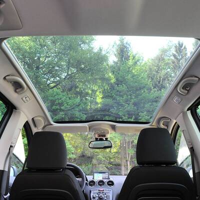 Facegelifteter Löwe