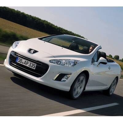 Facegelifteter Löwe