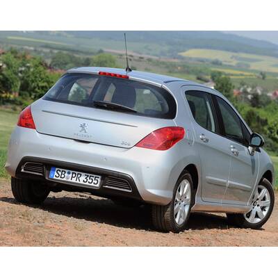 Facegelifteter Löwe