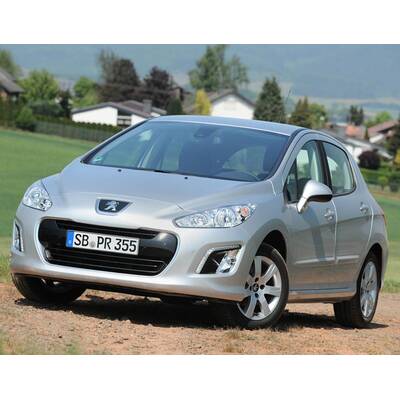 Facegelifteter Löwe