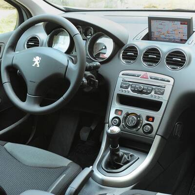 Facegelifteter Löwe