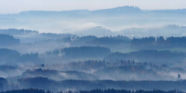 Sensationsfund am Bregenzer Pf&auml;nder