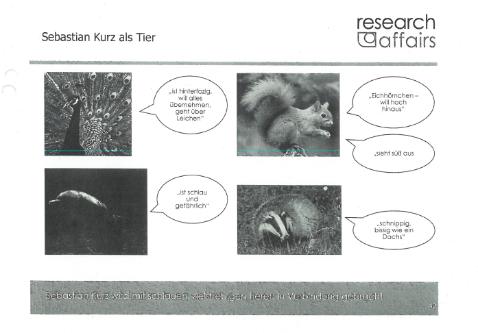 155.000-Euro-Studie: Kurz ist Pfau